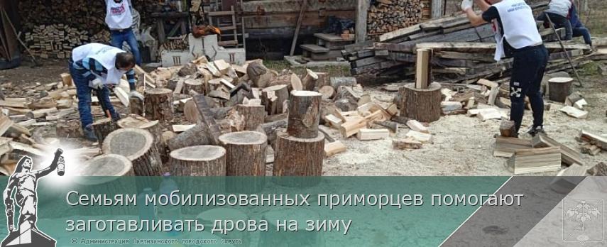 Семьям мобилизованных приморцев помогают заготавливать дрова на зиму