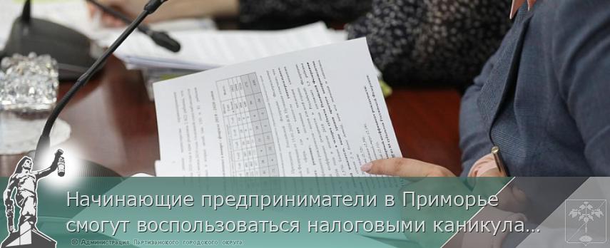 Начинающие предприниматели в Приморье смогут воспользоваться налоговыми каникулами, сообщает www.primorsky.ru